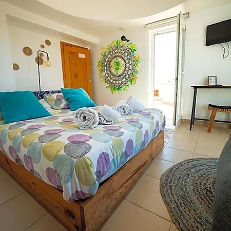 Auberge de jeunesse Alex Surf *
