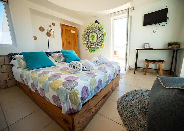Alex Surf Hostel
